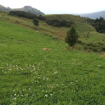 Bed & Breakfast La Maison Di Alice *