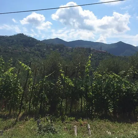 La Maison Di Alice B&B