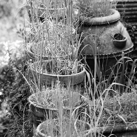 La Maison Di Alice Bed & Breakfast Castiglione Chiavarese