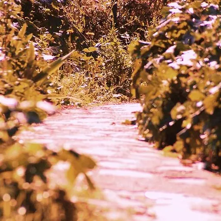 La Maison Di Alice *