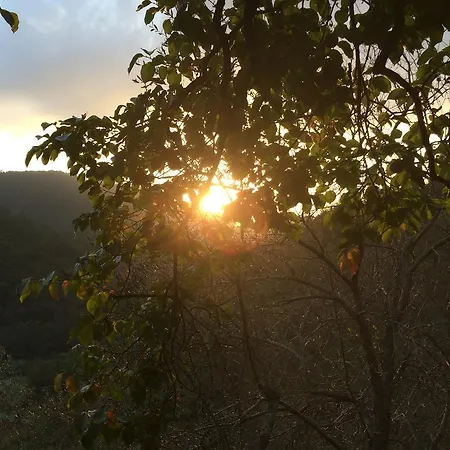 B&B La Maison Di Alice