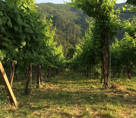 La Maison Di Alice Bed & Breakfast