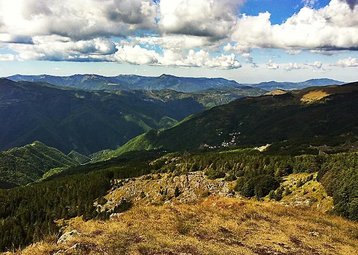 La Maison Di Alice Bed & Breakfast