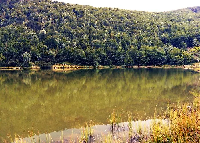 Bed & Breakfast La Maison Di Alice