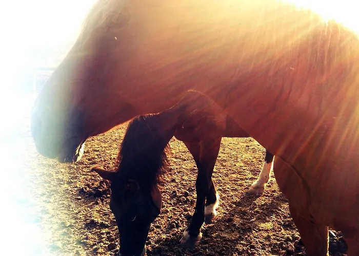 La Maison Di Alice Bed & Breakfast