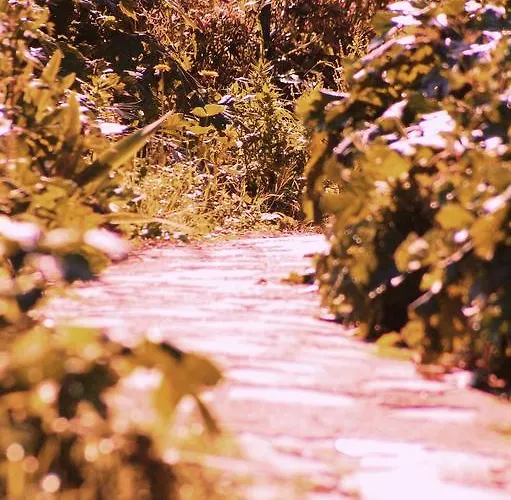 La Maison Di Alice *