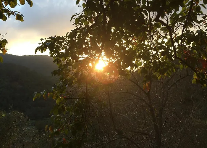 Bed & Breakfast La Maison Di Alice