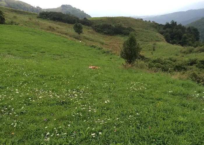 Bed and Breakfast La Maison Di Alice *