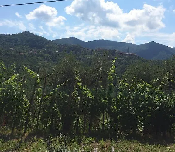 La Maison Di Alice Bed & Breakfast